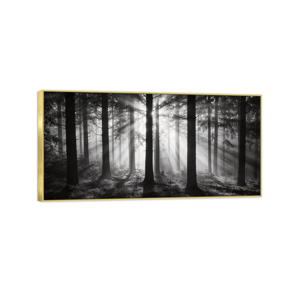 Tree Sunshine 4 Black White Landscape Canvas Picture 20x40cm Gold Frame