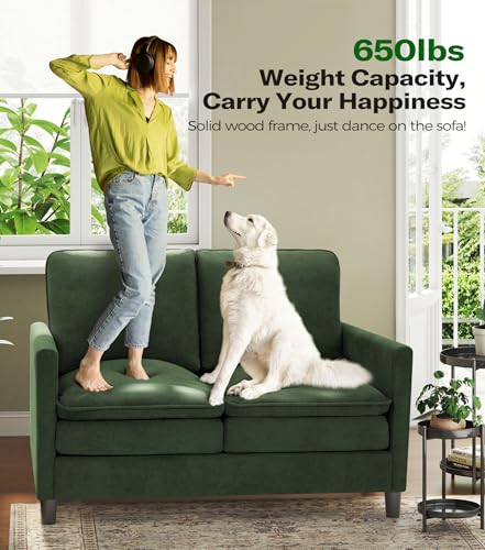 Image of Welzona 3-Layers Cloud Loveseat Sofa, 51 inch Small Couch, Teddy Small Sofa
