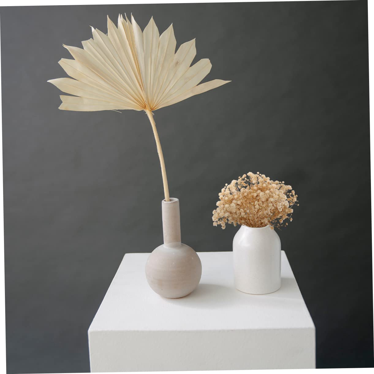 Gatuida 4 Pièces 10 Petit Bouquet de gypsophile tiges séchées Fleurs séchées pour l'artisanat bouda Decoration Interieure Fleur sechees décor d'haleine de bébé séchée gypsophile séchée