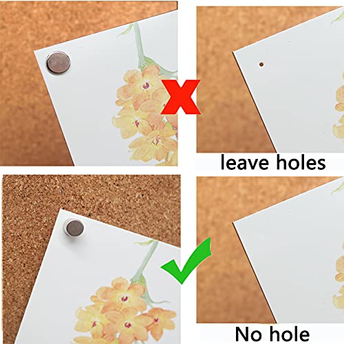 30 Magnetic Push Pins for Bulletin Boards and Photos