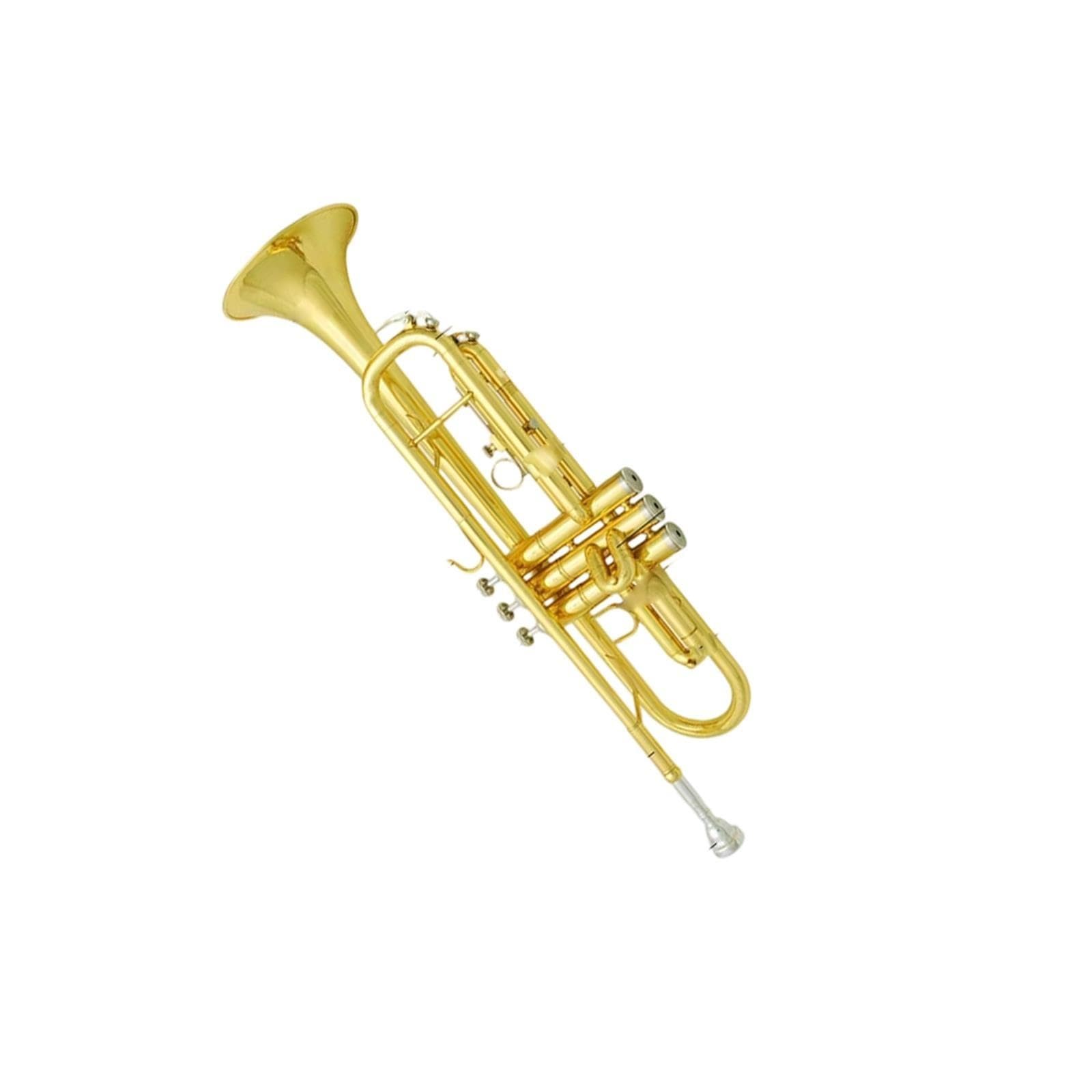 Adult Trumpet Trompette en si bémol pour débutant