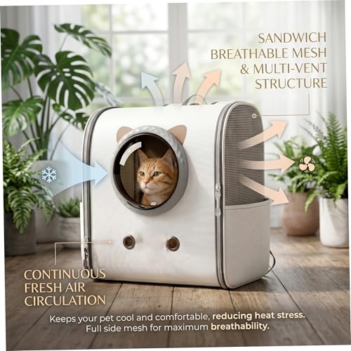 Mochila porta gatos para paseos urbanos y visitas al veterinario con gatito blanco 7