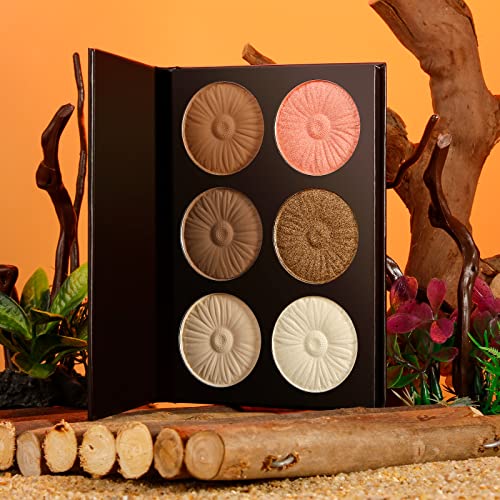 Highlighter Contour Makeup Palette,Afflano Bronzer Highlighter Blush Matte Shimmer 6 Colors,Face Cheek Contour Palette Highlight Blush Nude Pink Rose Gold, Eye Highlighting Natural Illuminating #TOP6