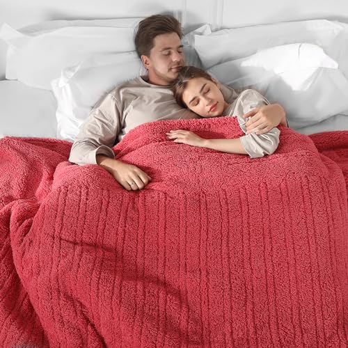 Queen Size Heated Blanket, Electric Blanket Queen Dual
