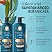 Herbal Essences Argan Oil Repair Shampoo & Conditioner Set, Moisturizes & Smoothes, Paraben-Free, Color-Safe, pH-Balanced, Citrus Scent, 20.2 Fl Oz, 2-Pack