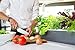 Click & Grow Indoor Herb Garden Kit with Grow Light | Easier Than Hydroponics Growing System | Smart Garden for Home Kitchen Windowsill | Vegetable & Herb Garden Starter Kit with 9 Plant pods, Gray