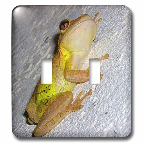 Interrupteur à bascule double 3drose LSP_156187_2 motif grenouille décorative - 2