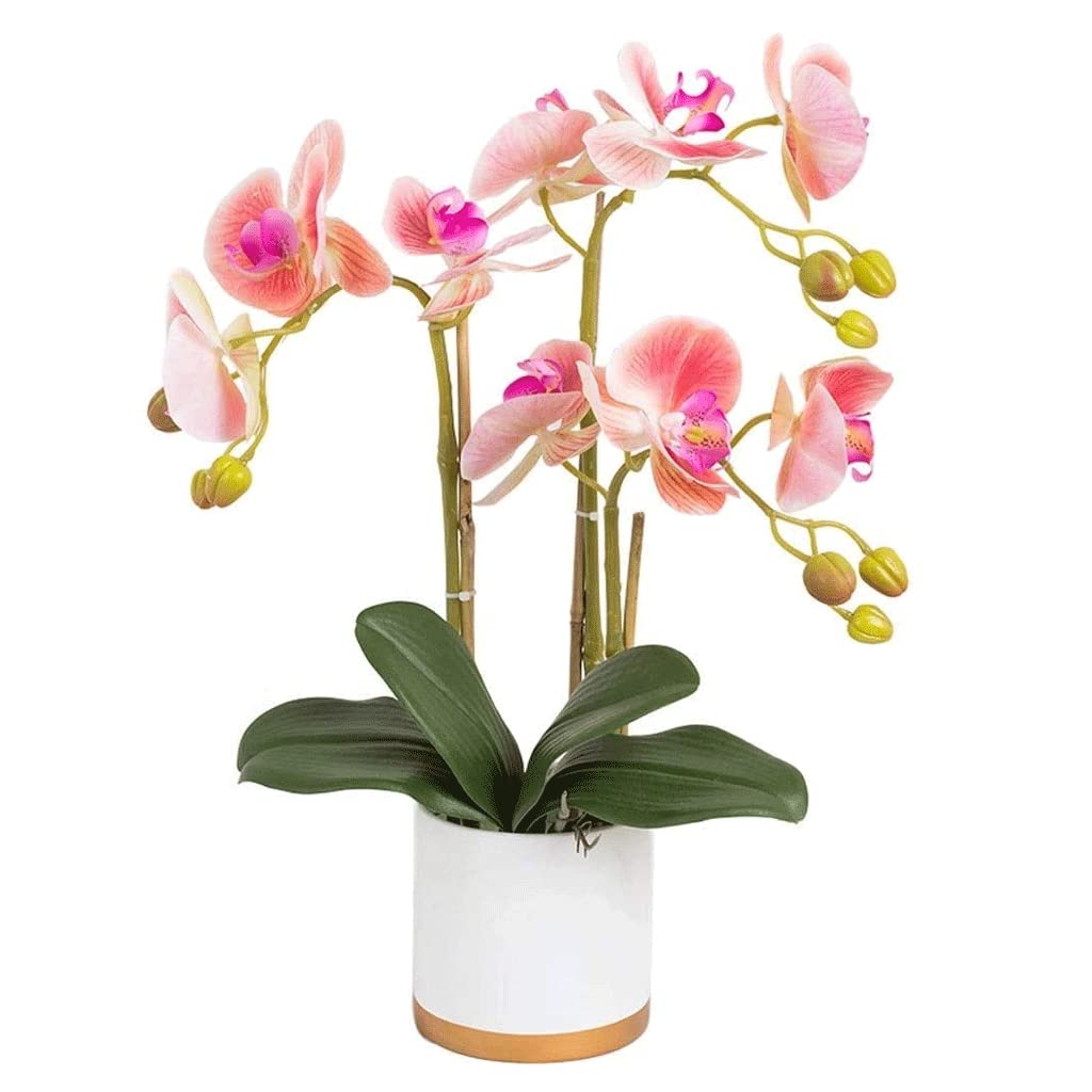 IUokLU Artificial Flowers for Decoration Artificial Flower Phalaenopsis for Home Decorations Artificial Flower Set Fake Flower Potted Decoration Fake Flowers Bonsai Artificial Flowers Pla