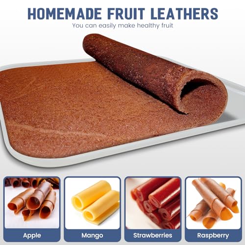 6 Pack Silicone Dehydrator Trays for Liquids, Fruit Leather Trays for Dehydrator, Non-stick Silicone Dehydrator Mats with Edge,Reusable Dehydrator Sheet for Jerky, Fruit, Meat, Herbs, Vegetables