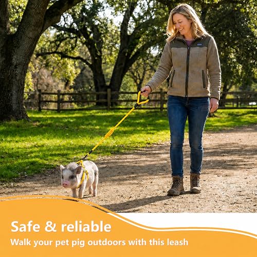 Image of Mini Pig Harness, Adjustable Small Pig Harness with Leash Infinity Style Lead and Soft Foam Handle for Small to Medium Pet Pigs Walking Training Jogging (Yellow, M)