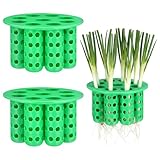 Ferrochef 2 Pack Green Onion Planter Seed Sprouting Kit Scallion Planter Compatible with Regular Mouth Mason Jar for Windowsill Garden, Hydroponics, and Propagation Hydroponics Enthusiasts(Green)