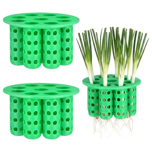 Ferrochef Green Onion Planter Kit for Mason Jars
