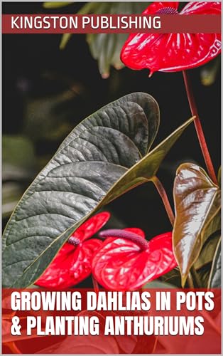 Growing Radiant Dahlias in Pots & Planting Anthuriums (Indoor Havens)