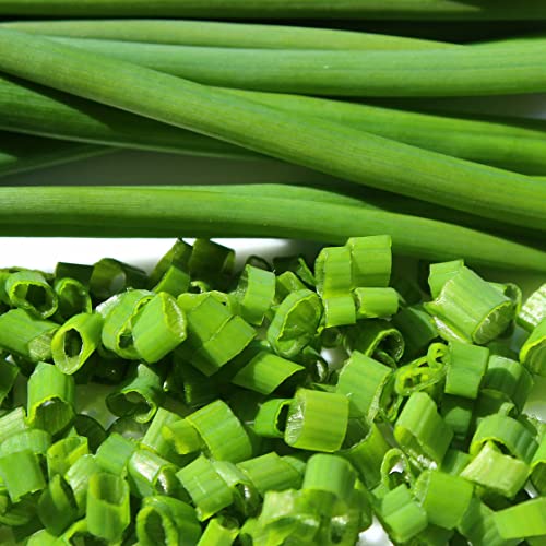 Schnittlauch Polyvert Samen - Allium schoenoprasum - Schnittlauchsamen - Kräutersamen - Saatgut für 300 Pflanzen - Image 6