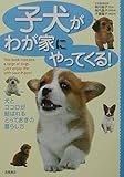 子犬がわが家にやってくる!
