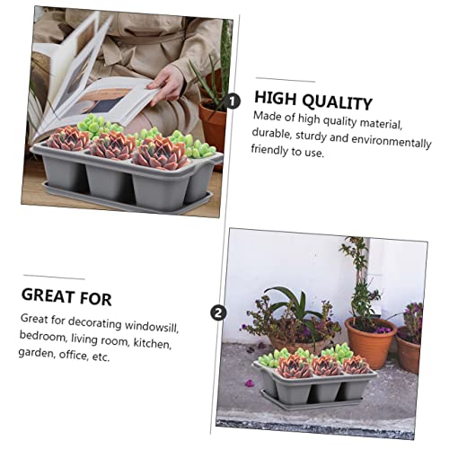 Gogogmee 2 Pçs 6 Pequenos Vasos De Flores Suculentas Propagador Abobadado Bandejas De Germinação De