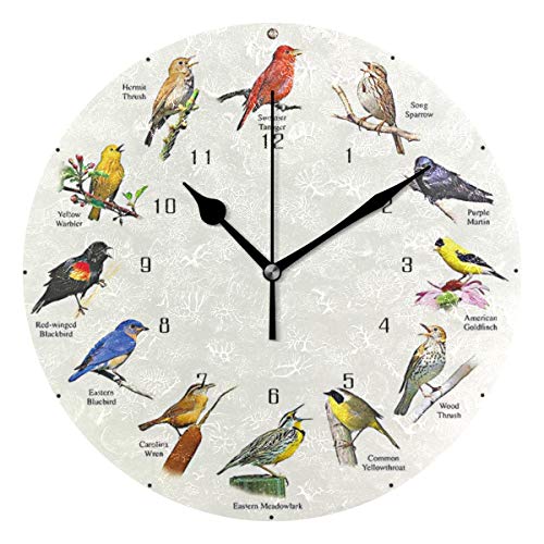 HSGRSSGF Home Decor Art D Singing Bird Wall Clock Round Style,Silent Non -Ticking Wall Clock, Battery Operated Art Decorative for Kitchen,Living Room,Kids Room and Coffee Decor (10 Inch)