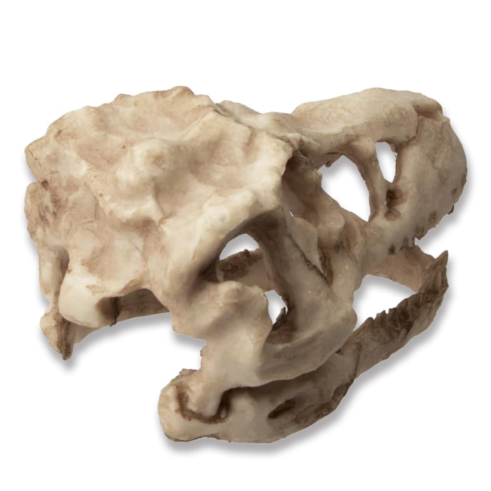 Piegricdiat Ornamenti per acquario con teschio di dinosauro, grotta di pesce per acquario, decorazione per rettili, ossa di dinosauro, decorazione per acquario, decorazione per acquario di dinosauro,