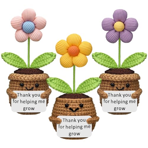 Wavwavw 3 Pcs Christmas Teacher Gift, Cute Flower by Wavwavw - Used condition - US$13.63
