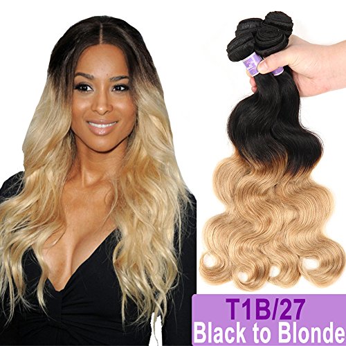 Ombre Brazilian Hair Body Wave Bundles 4pcs, Ombre Brazilian Virgin Hair Human Hair Weave Two Tone Black to Blonde (T1B/27,20"22"24"26")