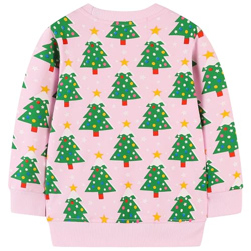 Image of AIWUHE Toddler Cotton Sweatshirt Boys Girls Pullover Long Sleeve Tops 2-6Y