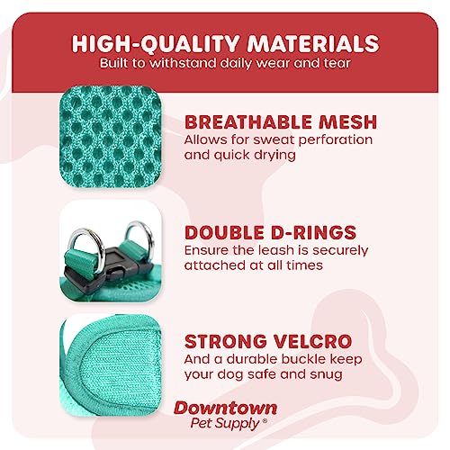 Downtown Pet Supply Step In Dog Harness For Small Dogs No Pull, Large, Bermuda Blue - Adjustable Harness With Padded Mesh Fabric And Reflective Trim - Buckle Strap Harness For Dogs #TOP3