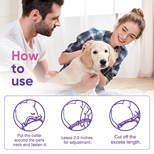 Calming Collar For Dogs 3 Packs Pheromone Collars Appeasing Dog Separation Anxiety Relief Stress 60 Days Calm Pheromones Relax Breakaway Design Adjustable Size Fit Medium Large Small Puppy(25 Inches) #TOP6