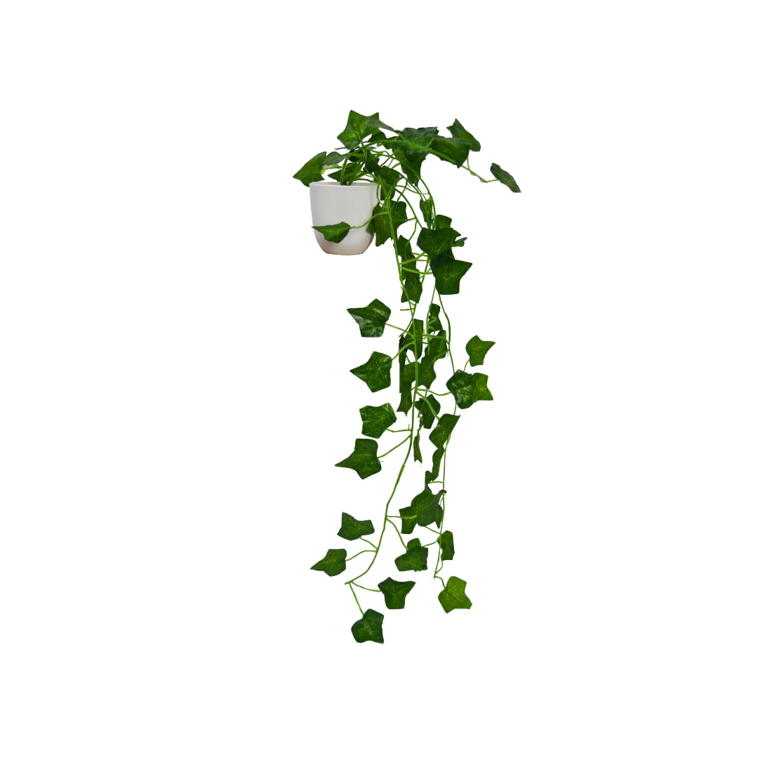 fancymart Artificial Vine Plants Falling with Small Size Pot - Natural Touch & Feel Home Décor - Perfect for Home and Office Decoration (B0C1W76D4P) Amazon Price History, Amazon Price Tracker