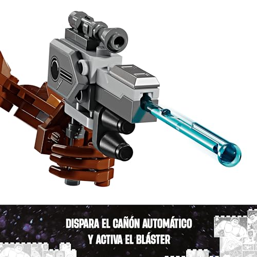 Imagen 5