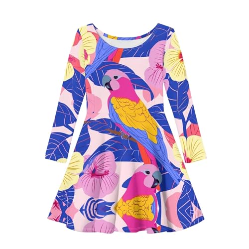 Long Sleeve Soft Comfy Casual Fall Dress for Girls Cute Graphic