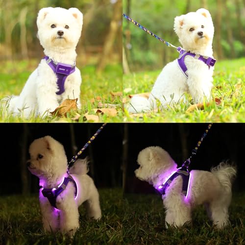 Feycig Leuchtend Hundegeschirr LED Aufladbar - Leuchtgeschirr Leuchtendes & Reflektierendes für Welpe Klein Mittlere Hund, Brustgeschirr Hundegeschirr, Atmungsaktiv Leucht Geschirr (Lila, Small)