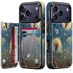 Dandelion in The Sky