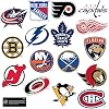 NHL Eastern Conference Hockey 50ct Vinyl Large Deluxe Stickers Variety Pack Officially Licensed Team Logos Laptop, Water Bottle, Scrapbooking, Tablet, Indoor/Outdoor
