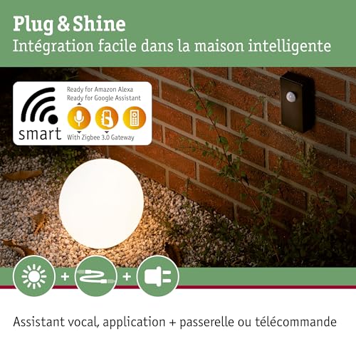 Télécommande Zigbee Paulmann 18012 capteur extérieur
