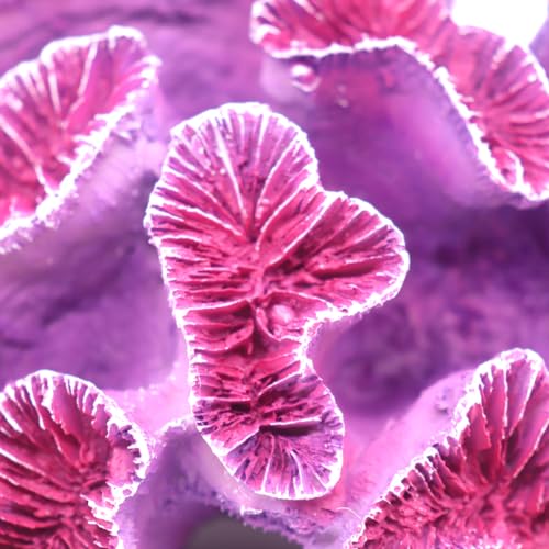 Image of Ulifery Coral Reef Aquarium Decorations Big Fish Tank Ornaments, Pink and Purple