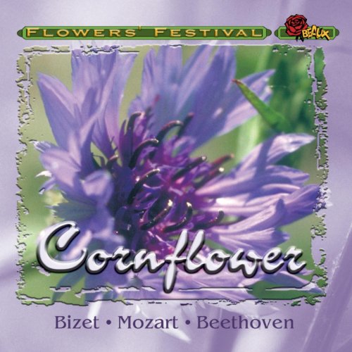 Cornflower VARIOUS ARTISTS Digital Music