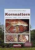  Kornnattern: Lebensweise, Pflege, Zucht, Erkrankungen