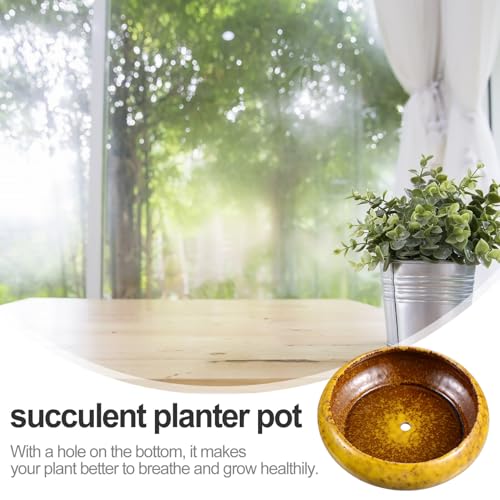 Pot de fleurs céramique succulentes à évacuation d'eau pour éviter le pourrissement - 7