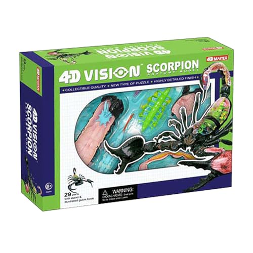 Modèle anatomique Scorpion 4D AMITD avec 29 pièces éducatives détachables - 2