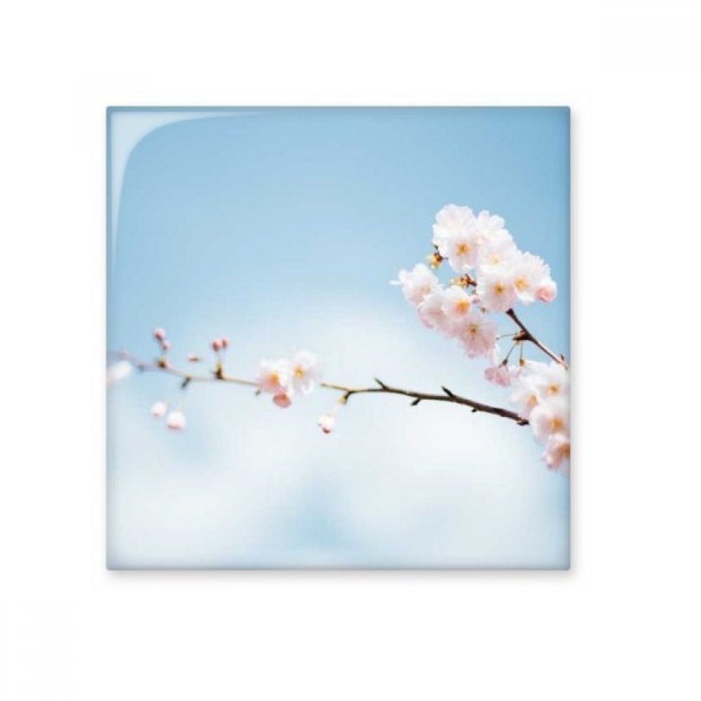 Carreaux céramique Plum Blossom bleu nuages pour créer une crédence de cuisine lumineuse