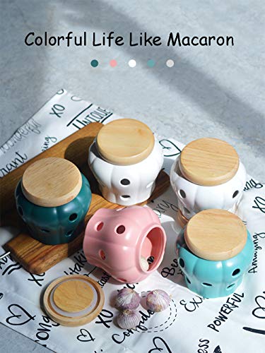 Mornenjoy Garlic Keeper,Ceramic Macaron Tone Garlic Jar Hollow Pumpkin Garlic Vented Storage Container Garlic Cellar Pot With Bamboo Lid (Teal Green) #TOP2