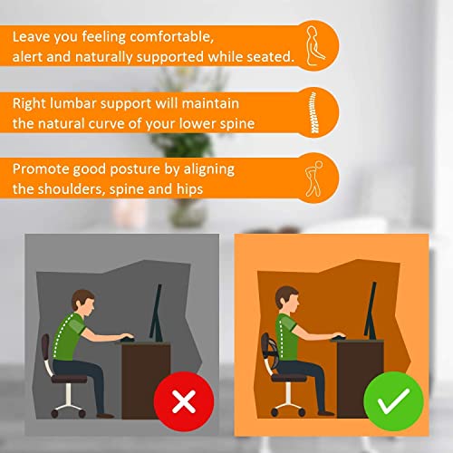 Image of Q1 Beads Wooden Beads Lumbar Back Support Seat Cover Cushion for Chair /Car (1 Pack, Brown)