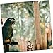 Yardwe Practical Parrot Standing Wood Perch Stick Bird Cage Toy for Scratching and Resting for Budgies Cockatiels and Other Birds
