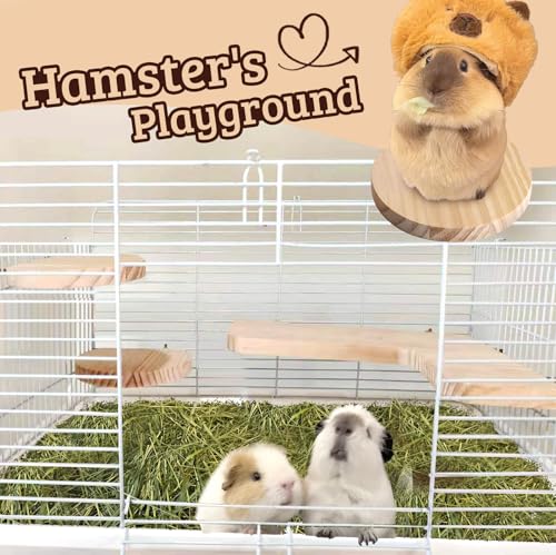 Acessórios para gaiola de chinchila, acessórios para hamster, brinquedos de chinchila, plataforma de