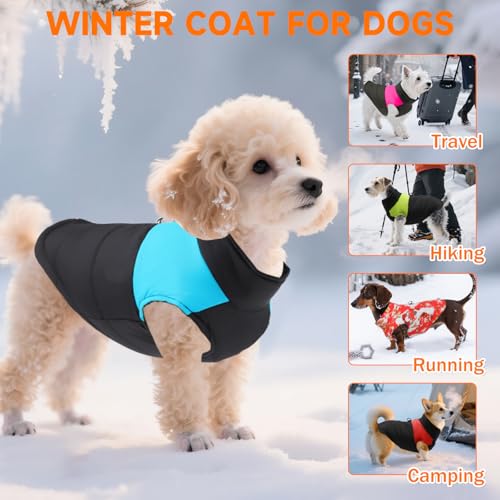 Ledeak Winter Warm Pet Hund Kleidung, Hundemantel Wasserdicht Winddichter, Hundejacke Wintermantel, Welpen Hunde Weste Bekleidung Kleidung, Winterjacke Baumwolle für Mittel und Kleine Hunde (Blau, M)