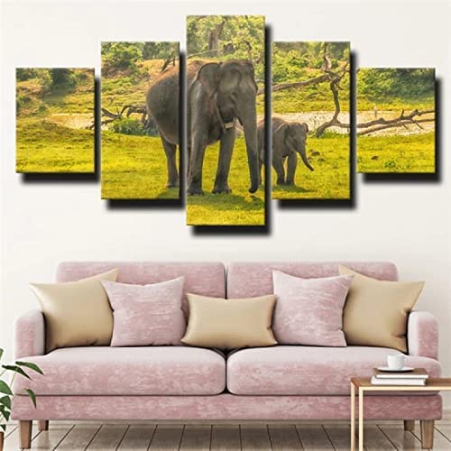 Tableau Multi Panneau 5 Parties Éléphant De La Faune Avec Cadre 150 X 100 Cm Tableau Imprimé Xxl Tableau Imprimé Sur Toile Tableau Deco Impression Sur...