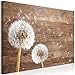 murando Quadro Soffione 90x60 cm Stampa su tela in TNT XXL Immagini moderni Murale Fotografia Grafica Decorazione da parete 1 pezzo Natura Botanico Legno b-A-0917-b-a