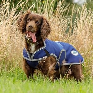 Weatherbeeta comfitec premier free parka deluxe dog coat medium dark bluegreywhite 20  urban country home decor