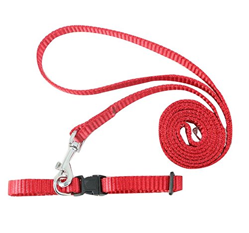 PawCloud Nylon Dog Leash and Collar Set, Large - Red, 25mm (B07FB3Y3TT) Amazon Price History, Amazon Price Tracker