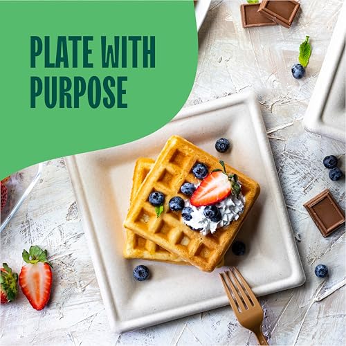 100% Compostable Square Paper Plates [50-Pack] - {PFAS-Free} - {BPI Certified} - [8 Inch] Heavy Duty, Eco-Friendly, Biodegradable Bagasse Dinner Plates - Natural Brown 8" Square Plate by Stack Man - Thumbnail 3